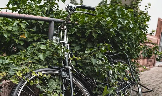 A primeira bicicleta foi inventada por um graduado da Universidade de Heidelberg