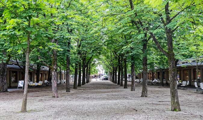 Lindas Árvores em Baden-Baden